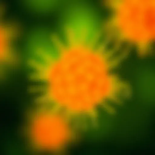 Visualization of Cellrox Green Reagent in action highlighting cell viability.