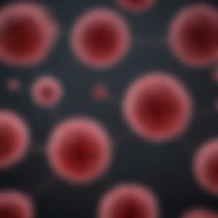 Flowchart of diagnostic criteria for IgG lambda myeloma