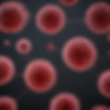 Diagnostic Criteria for IgG Lambda Myeloma Flowchart of diagnostic criteria for IgG lambda myeloma