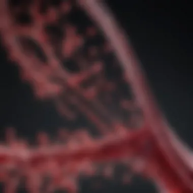 Graph highlighting advancements in IgG lambda myeloma research