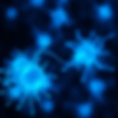 Visualization of cellular dynamics with Cell Tracker Blue