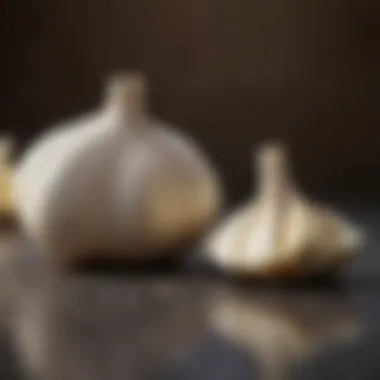 Therapeutic benefits of garlic illustrated with health icons