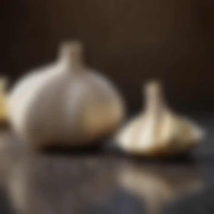 Therapeutic benefits of garlic illustrated with health icons