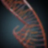 Comprehensive Overview of the 100 bp DNA Ladder from NEB Introduction