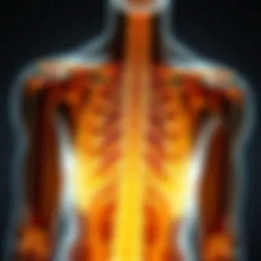 Bone Density and Vitamin D Vitamin D's effect on bone density