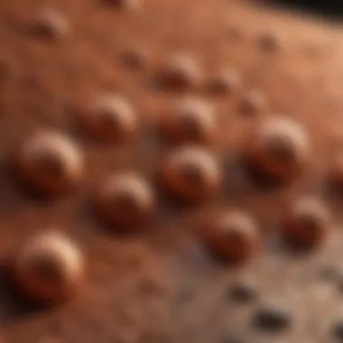 Environmental Impact of Copper Oxide Nanoparticles Scientific illustration depicting the environmental impact and benefits of copper oxide nanoparticles