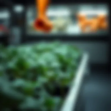 Applications of CRISPR-Cas9 in agriculture