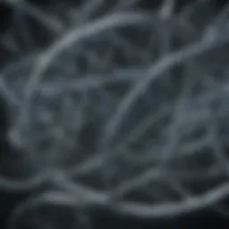 A visually striking representation of DNA strands intertwining, symbolizing the essence of cloning.