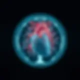 CT Angiography of the Heart: Insights and Innovations Introduction