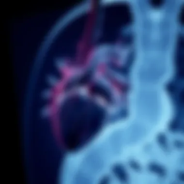 CT Angiography of the Heart: Insights and Innovations Summary CT Angiography of the Heart: Insights and Innovations Summary