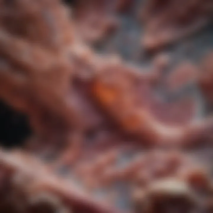 Lung tissue under microscope showcasing fibrotic changes