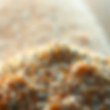 Diversity of Particle Sizes in Materials Granular materials demonstrating size diversity