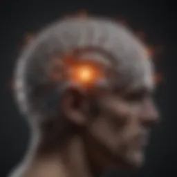 Visual representation of brain activity during neurofeedback sessions