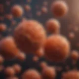 Cellular differences in acute myeloid leukemia