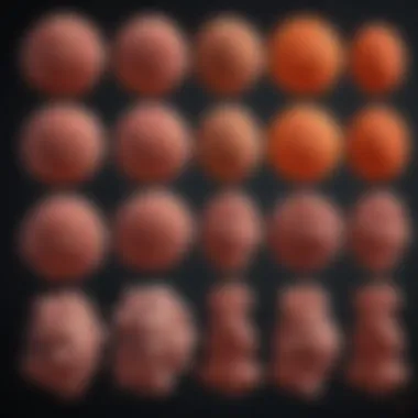 Progression Stages of Chronic Myeloid Leukemia Chronic myeloid leukemia progression stages
