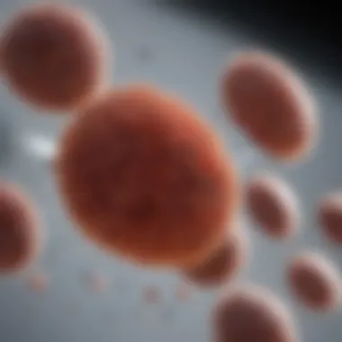 Diagnostic Tests for Leukemia Classifications Diagnostic tests for leukemia classifications