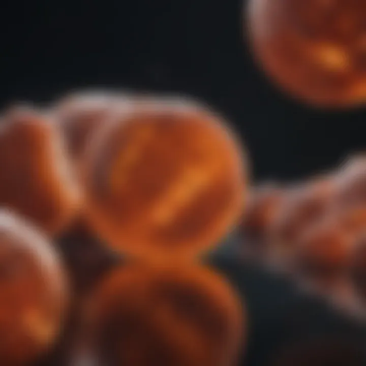 Therapeutic options for myeloid leukemia