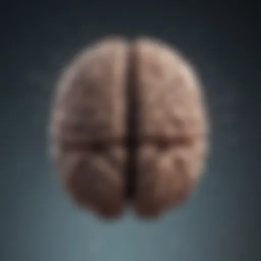 Brain chemical pathways related to mood regulation