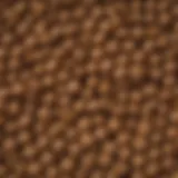 Close-up of premium dog food kibble