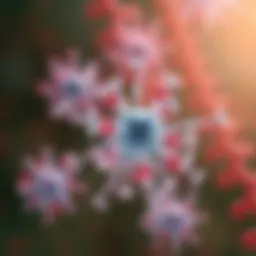 Representation of the Duffy antigen system