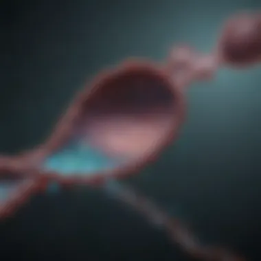 Infographic outlining the timeline of end stage ovarian cancer