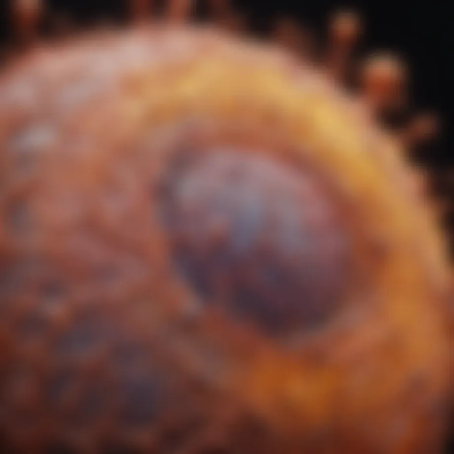 Ewing Sarcoma cellular structure