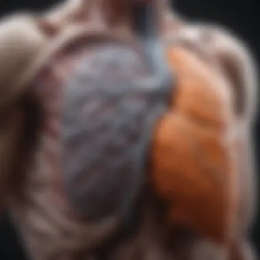 Impact of Reduced Lung Capacity Diagram of lung capacity and its effects