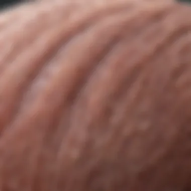 A close-up view of hair follicles under a microscope, illustrating the biological mechanisms of hair loss.