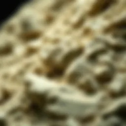 Exploring Bentonite: Composition, Applications, and Implications in Science Introduction