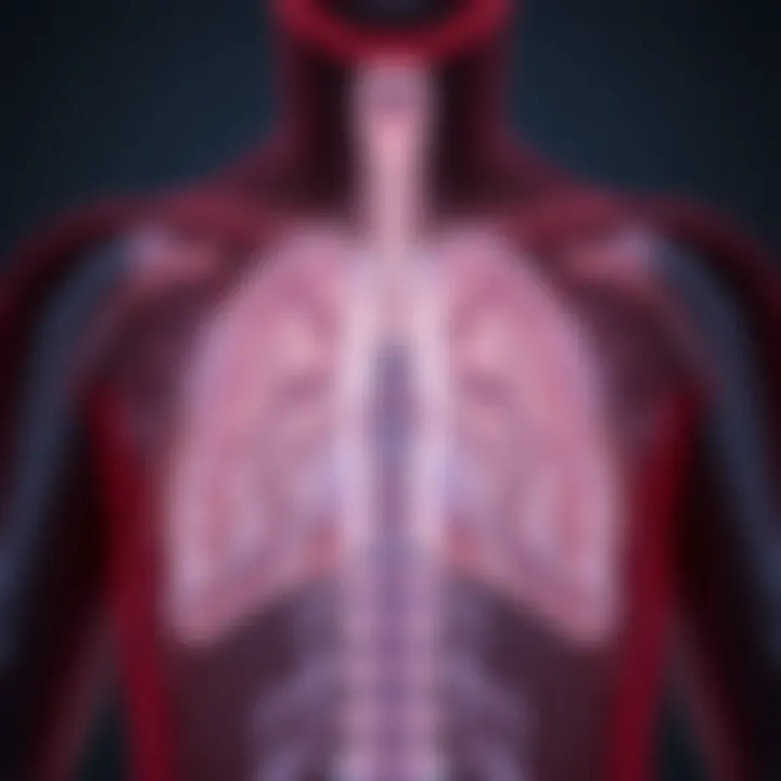 Graphical representation of diagnostic techniques for respiratory conditions