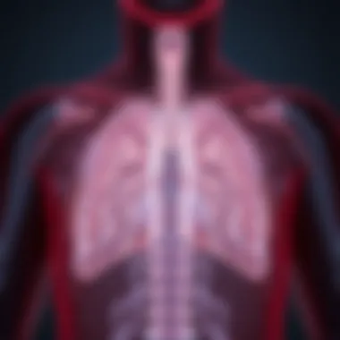 Diagnostic Approaches for Bronchopulmonary Sequestration Graphical representation of diagnostic techniques for respiratory conditions