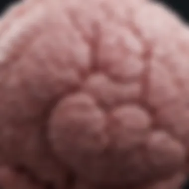 Current Research Findings on Diffuse Intrinsic Pontine Glioma Research findings on DIPG