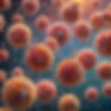 Diverse types of cells in a vibrant illustration