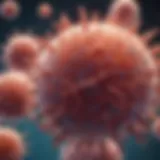 Illustration of immune cell types and their functions