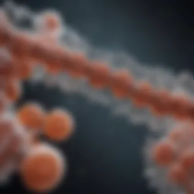 Molecular Advances in COPD Treatment Molecular structure of a new COPD medication