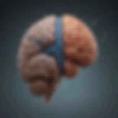 Emotional Brain Pathways Visual representation of emotional brain pathways