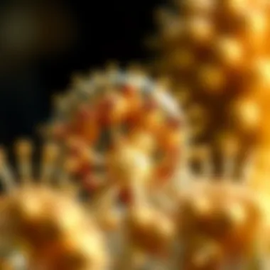 Energy Storage Mechanisms: Impact on Cellular Well-Being Infographic illustrating energy storage mechanisms and cellular health