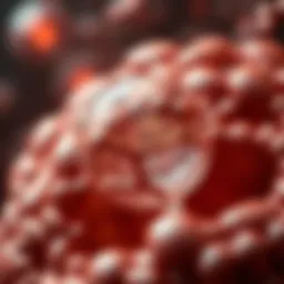 Illustration of mitochondria showcasing energy production