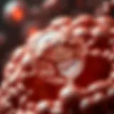 Mitochondria: The Powerhouses of Cells Illustration of mitochondria showcasing energy production