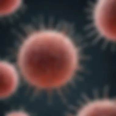 Applications of Extracellular Vesicle Proteins in Diagnostics Visual representation of the applications of extracellular vesicle proteins in diagnostics