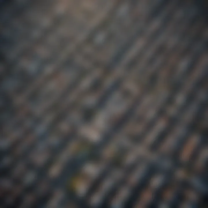 Satellite imagery showcasing urban landscapes via Google Earth.