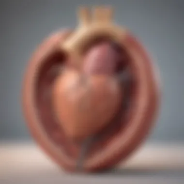 Aortic Stenosis Explained Diagram of the aortic valve and stenosis condition