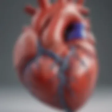 Anatomy of the Heart: Areas of Focus Illustration of heart anatomy with highlighted areas of concern