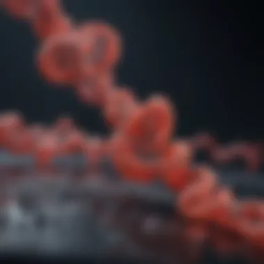 Genetic Factors in AML Prognosis Infographic depicting genetic factors influencing AML prognosis