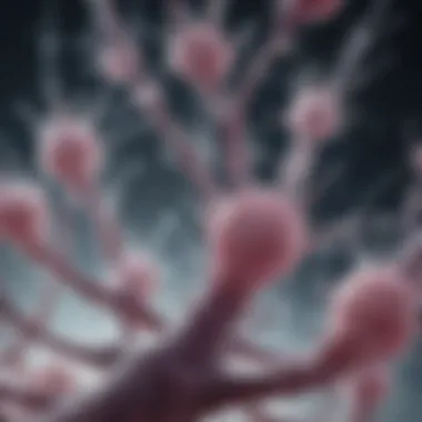 Role in the Extracellular Matrix Hyaluronic acid in the extracellular matrix