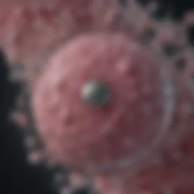 Impact on Tumor Progression Tumor progression influenced by hyaluronic acid levels