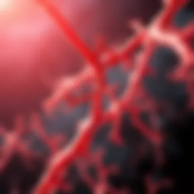 Detailed illustration of blood vessel inflammation associated with large cell arteritis.