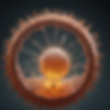 Liposomal Structure Enhancing Bioavailability Illustration of liposomal structure