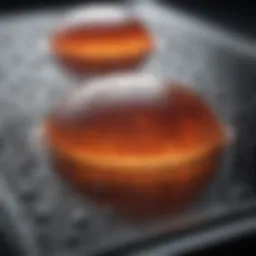 Close-up view of liquid photoresist application process