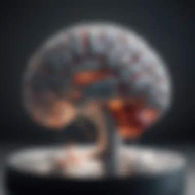 Mechanism of Action of SSRIs Illustration of the mechanism of action of SSRIs in the brain
